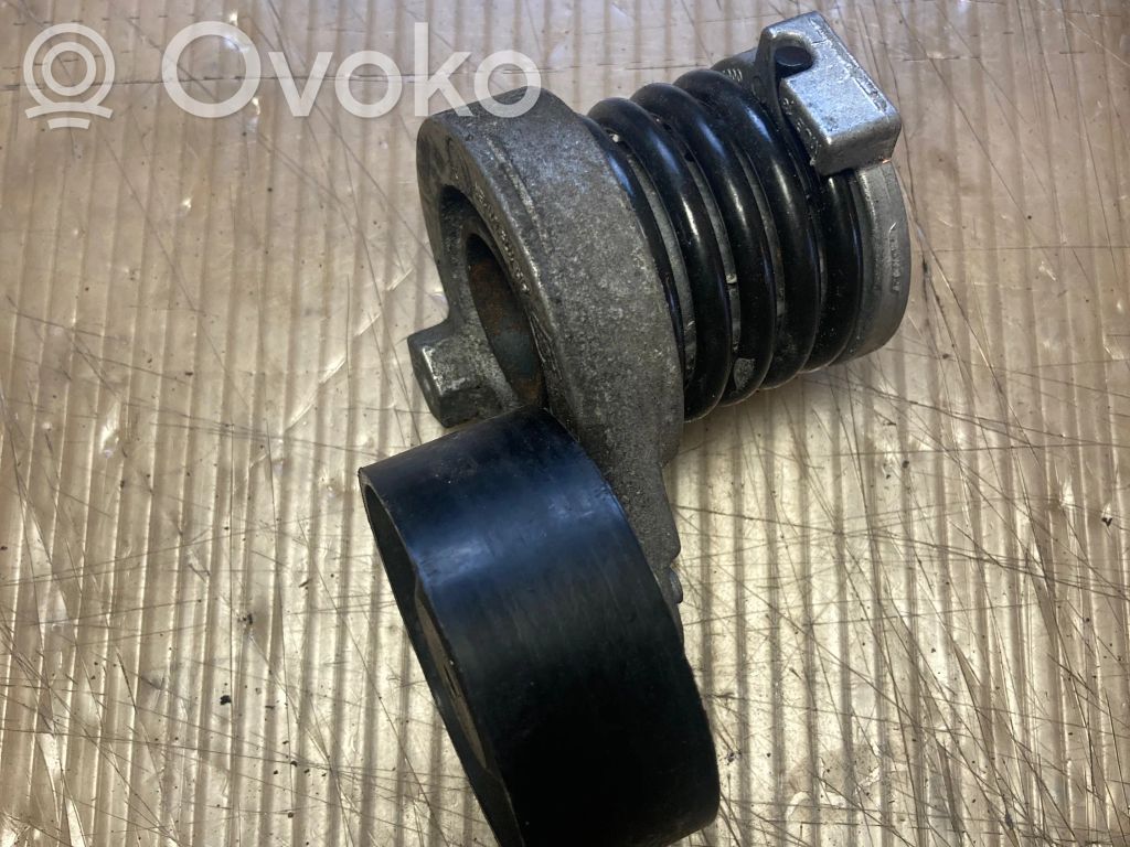 Renault Captur Napinacz paska alternatora 