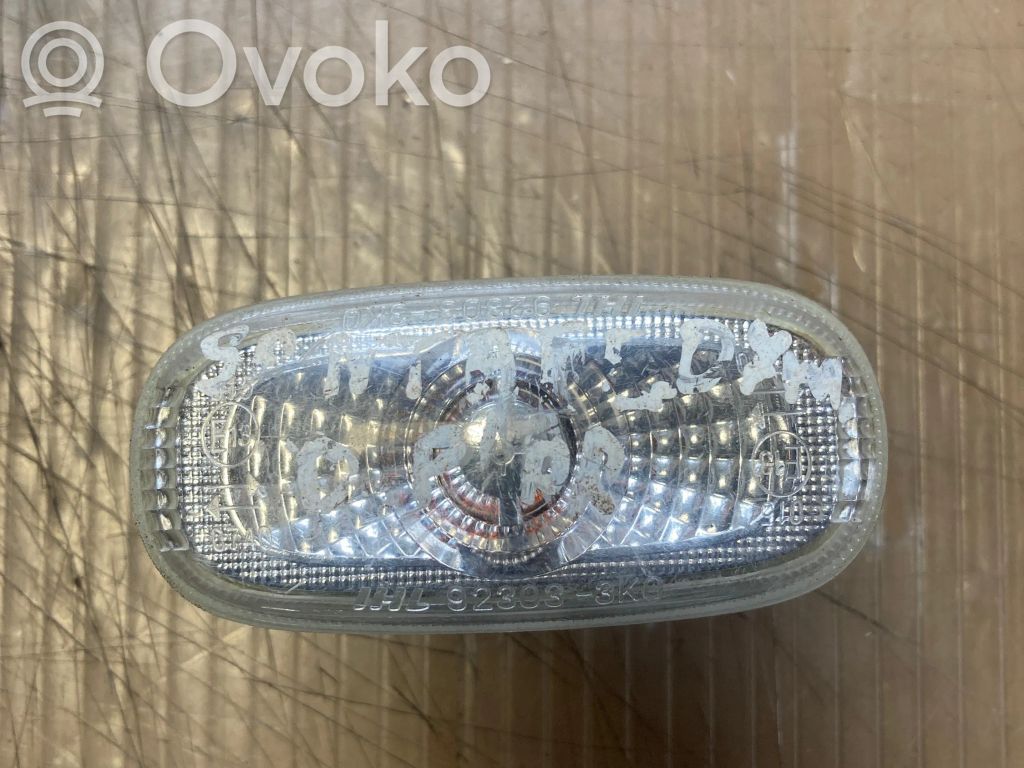 Hyundai Santa Fe Seitenblinker 