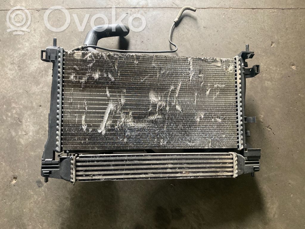 Citroen Nemo Radiator set 