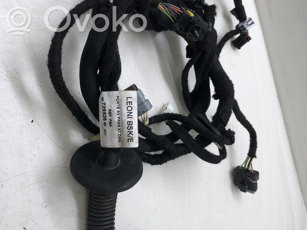 Citroen C5 Cableado de puerta delantera 
