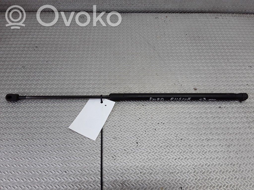 Tailgate/trunk strut/damper