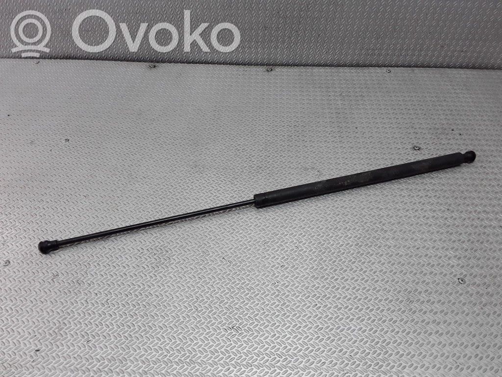 Tailgate/trunk strut/damper