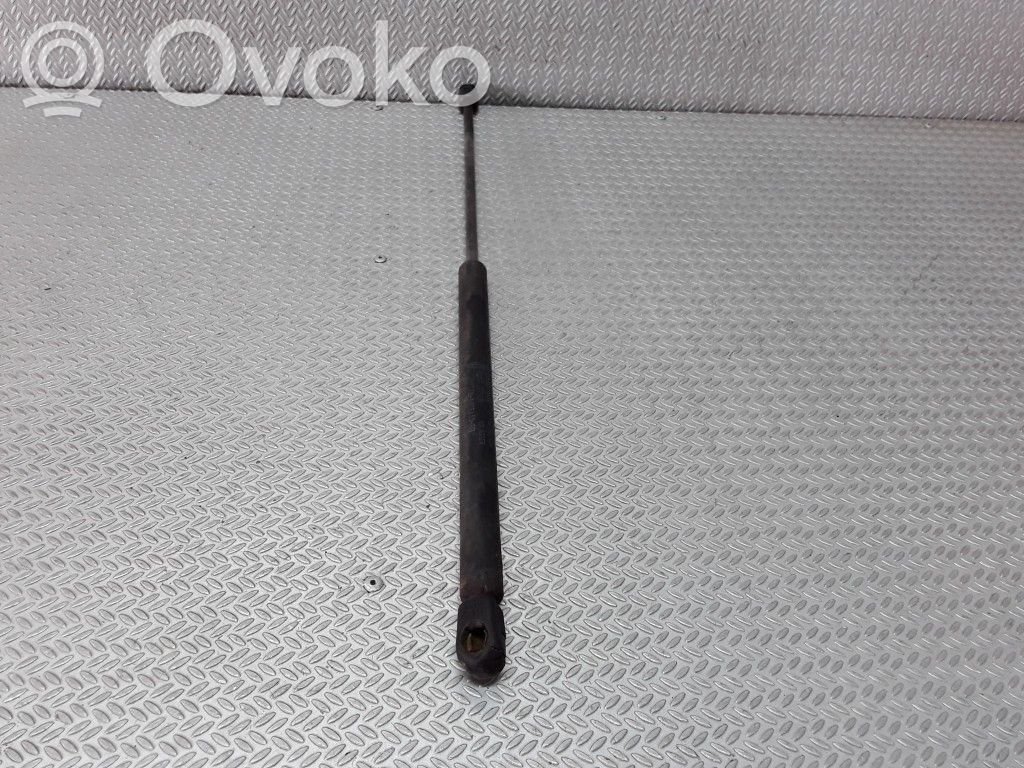 Tailgate/trunk strut/damper   1S71A406A10BB