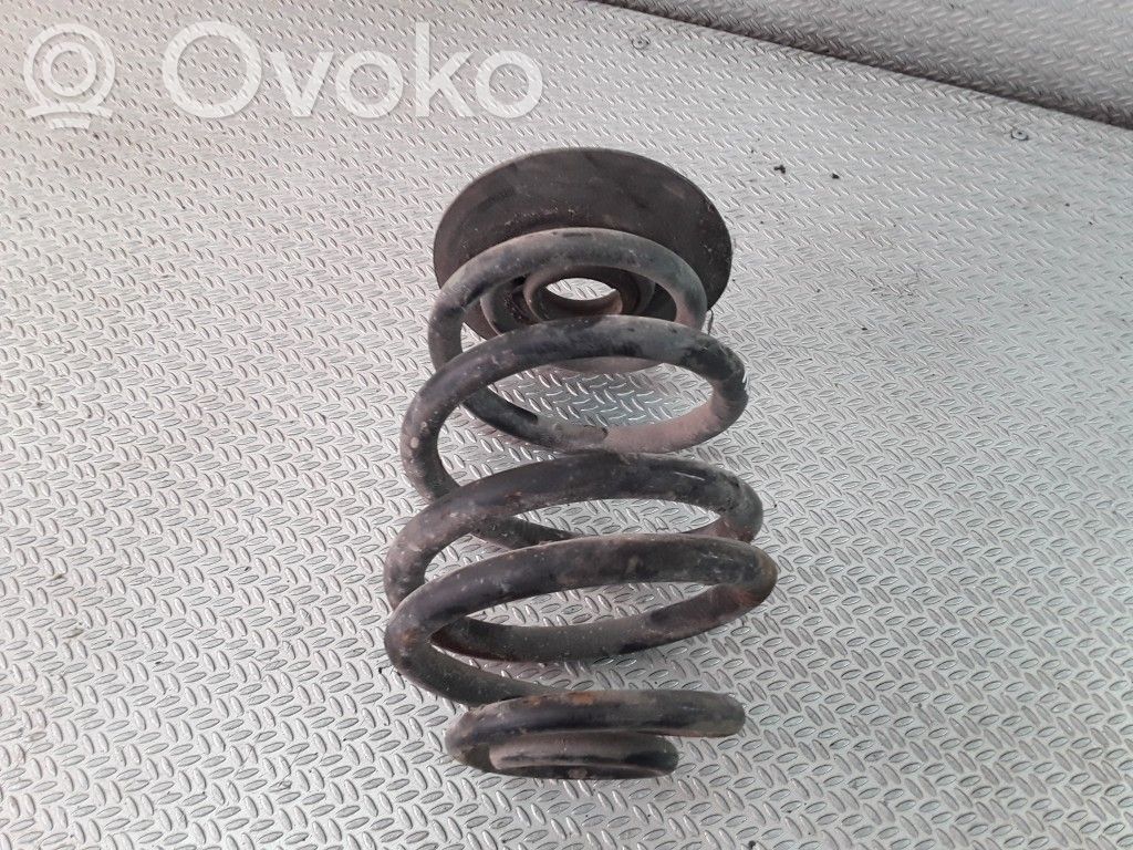 Rear coil spring