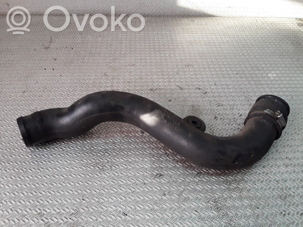Volkswagen PASSAT B5 Interkūlera šļūtene (-es) / caurule (-es) 