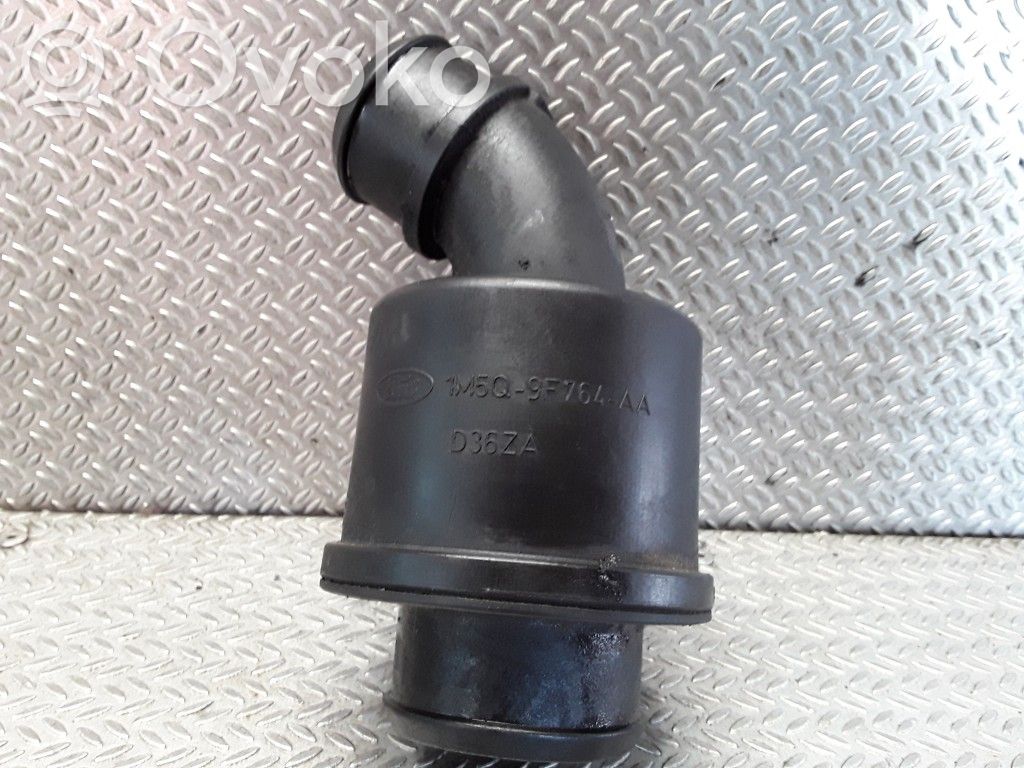 Ford Focus Interkūlera šļūtene (-es) / caurule (-es) 