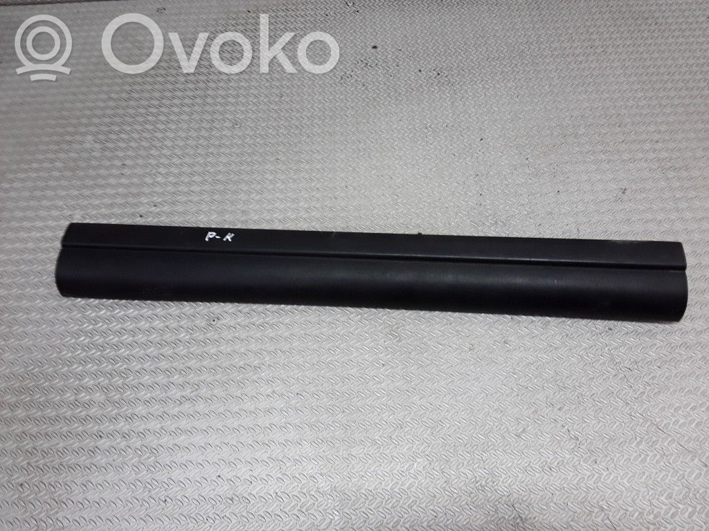 BMW 3 E46 Front sill trim cover 