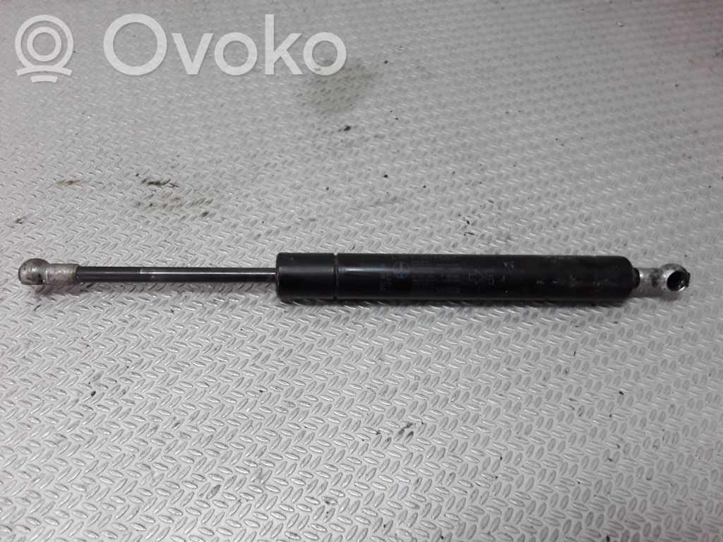 Tailgate/trunk strut/damper   4699260