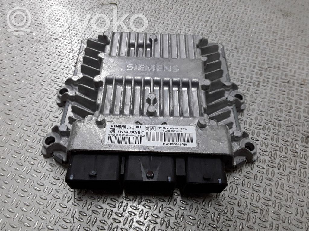 Citroen C5 Engine control unit/module 