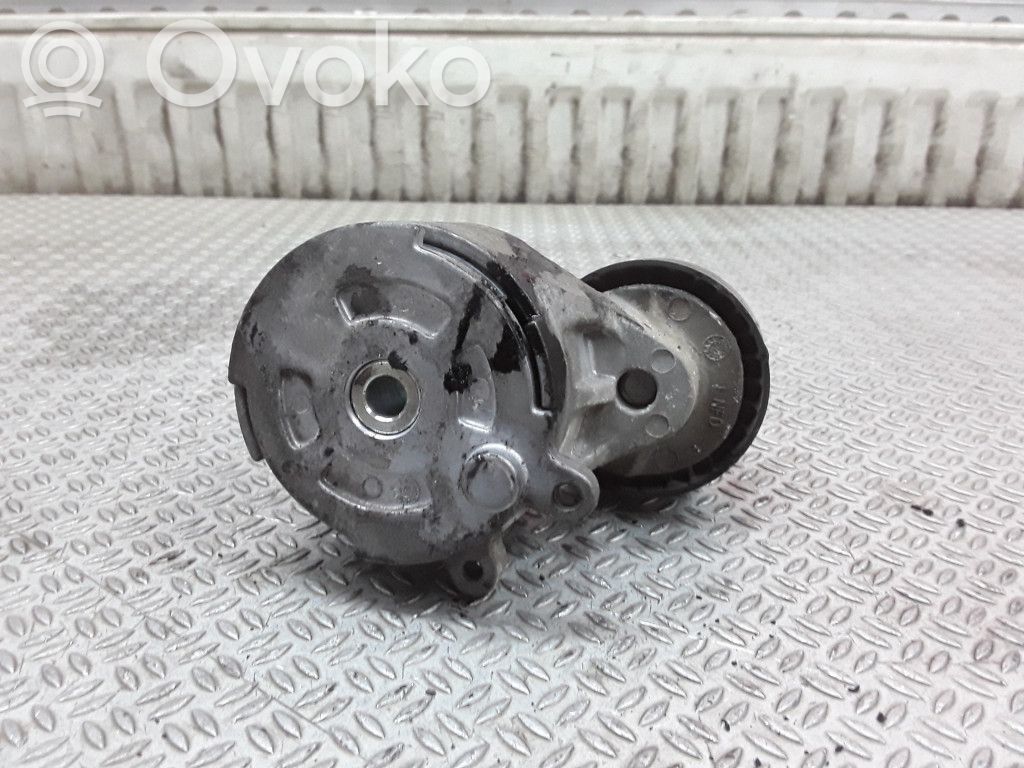 Citroen C5 Tendicinghia generatore/alternatore 