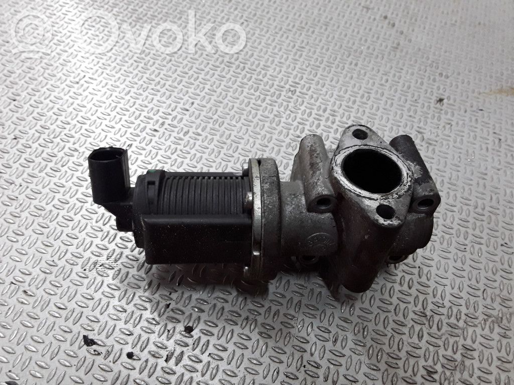 Válvula EGR   55215031