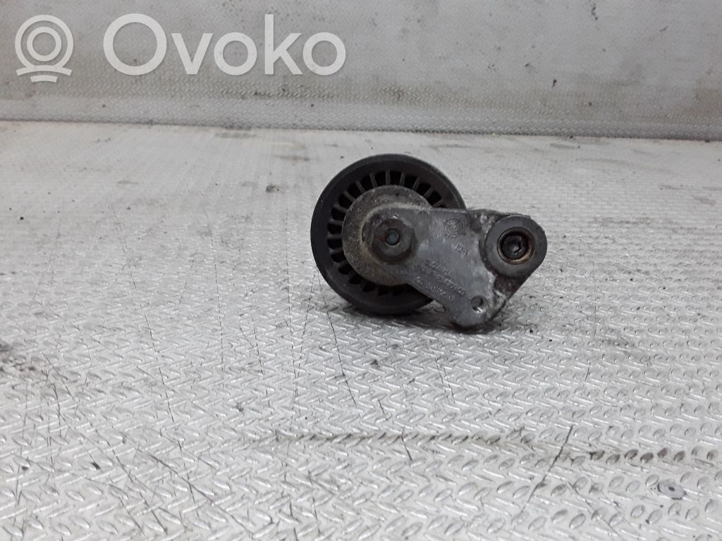 Volkswagen PASSAT B5 Întinzător curea generator/alternator 
