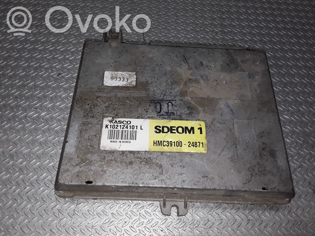 Hyundai Lantra I Engine control unit/module 