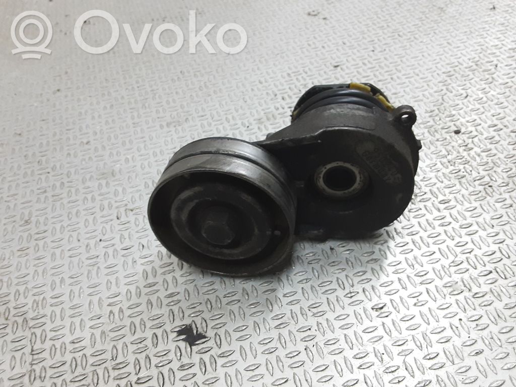 Opel Meriva A Tendicinghia generatore/alternatore 