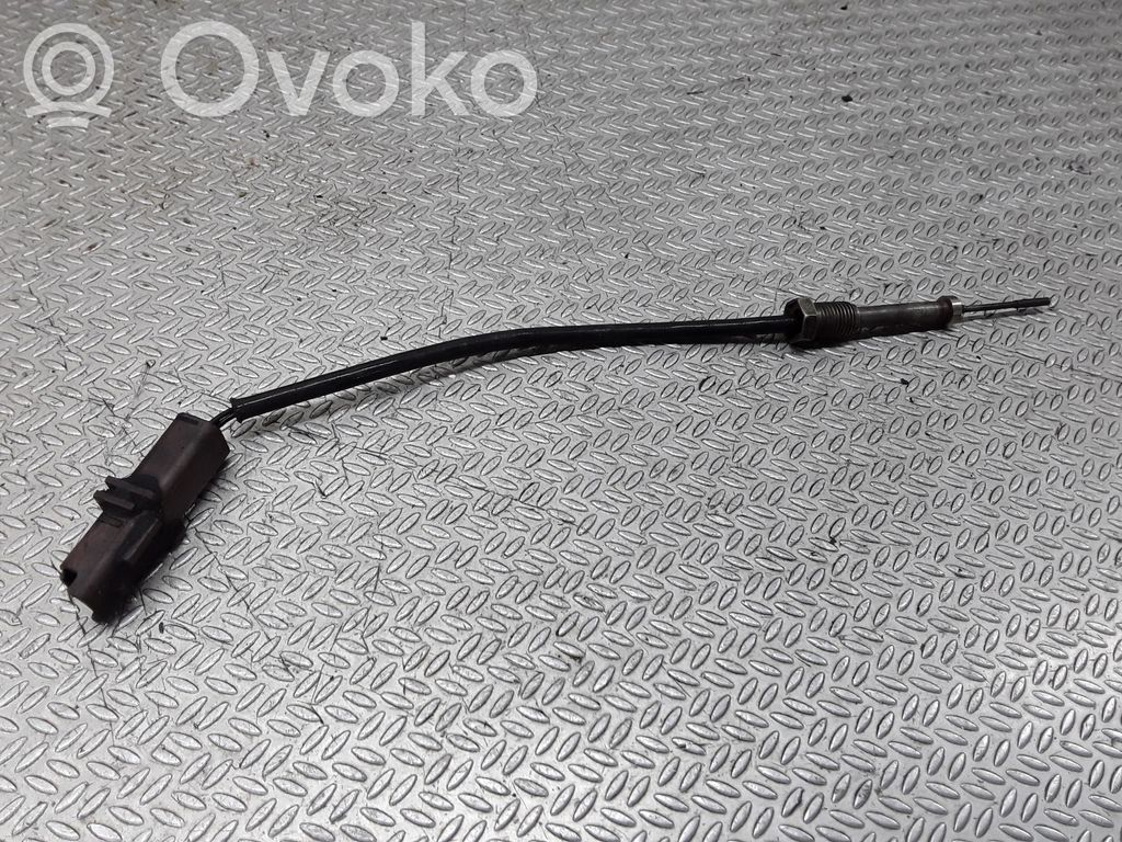 Peugeot 407 Exhaust gas temperature sensor 