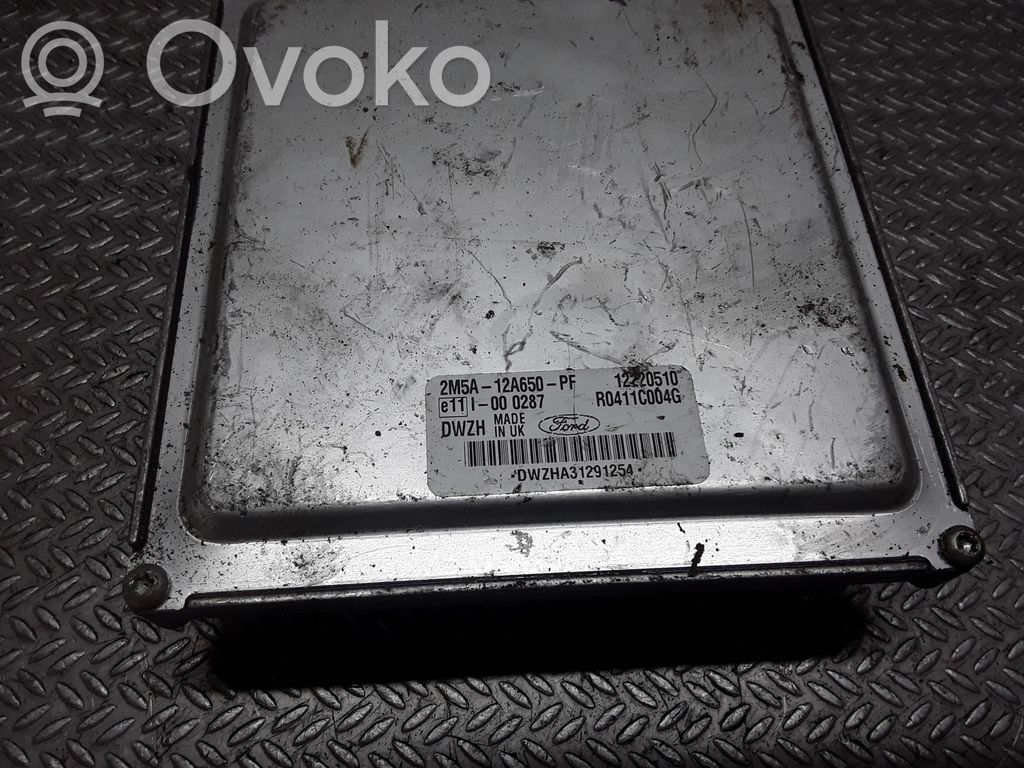 Ford Focus Engine control unit/module 