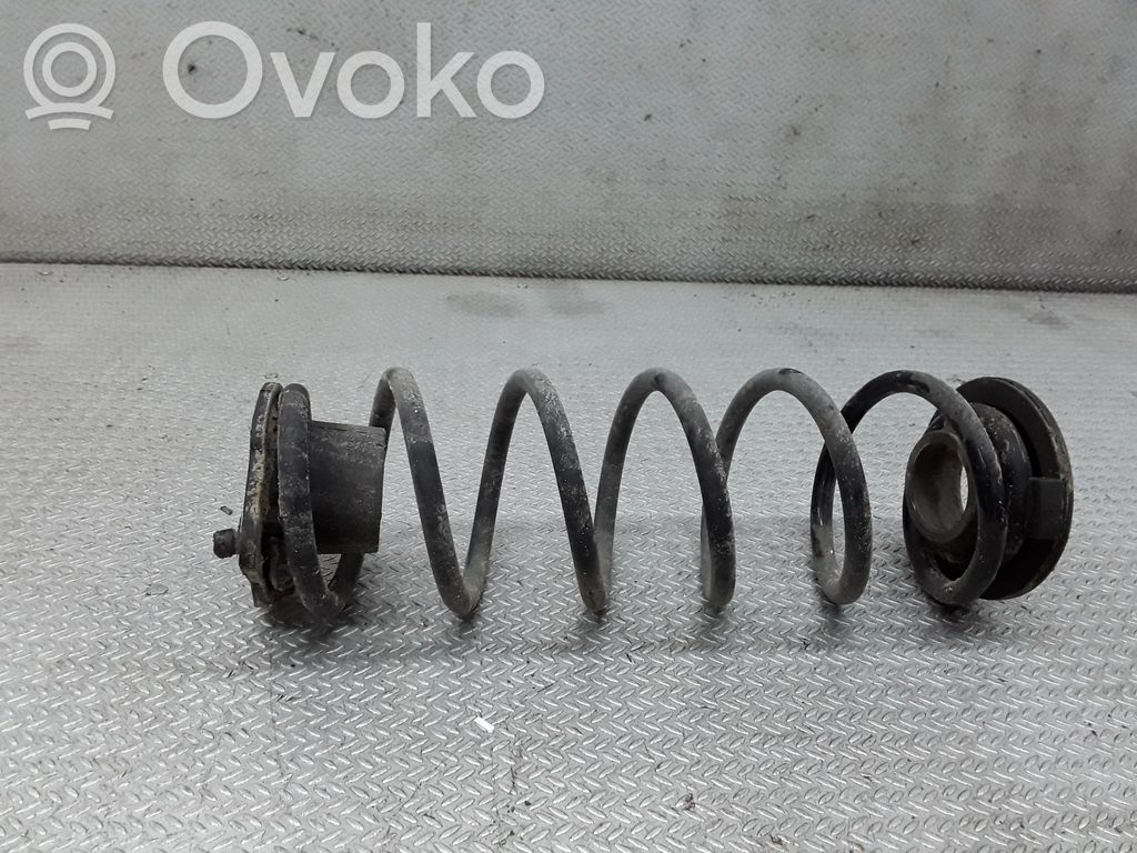 Rear coil spring
