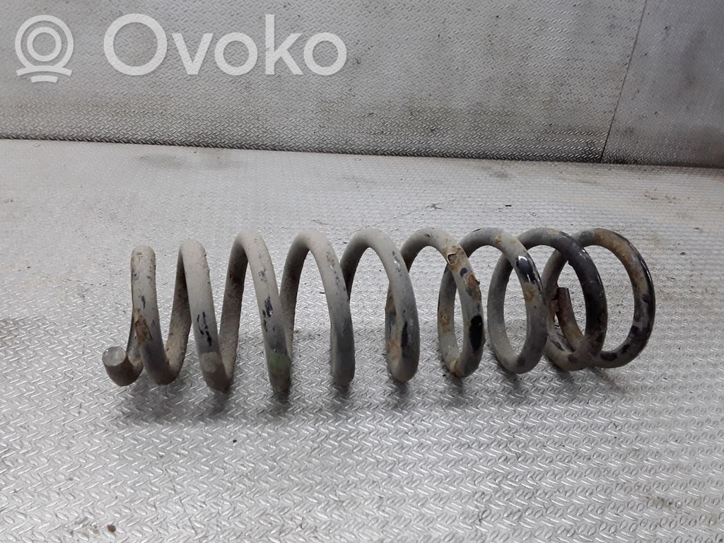 Front coil spring
