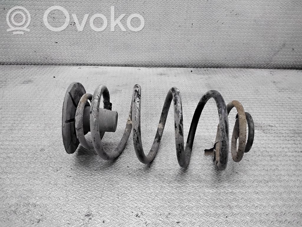 Rear coil spring