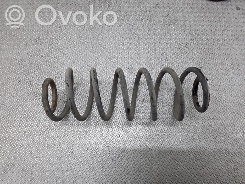 Rear coil spring