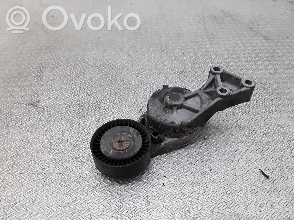 Tensor de correa del alternador   950372