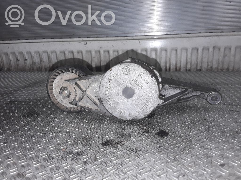 Volkswagen Touran I Întinzător curea generator/alternator 