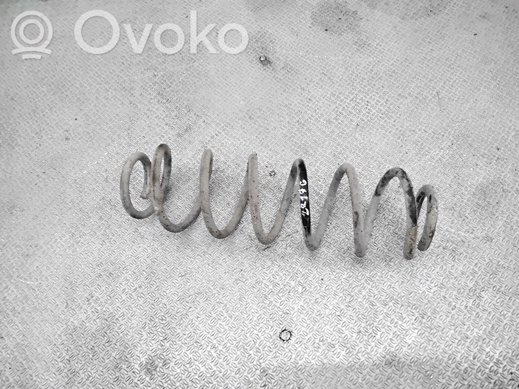 Rear coil spring
