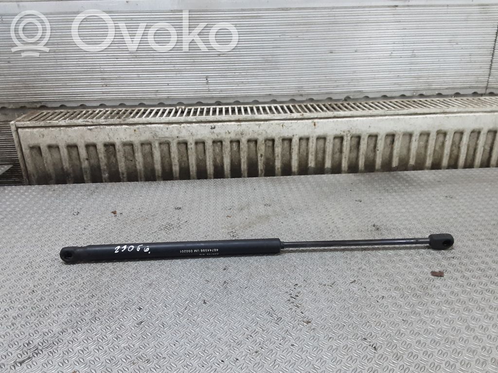 Fiat Punto (188) Amortizor hayon 