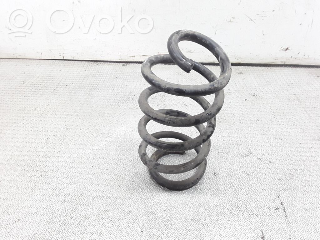 Rear coil spring