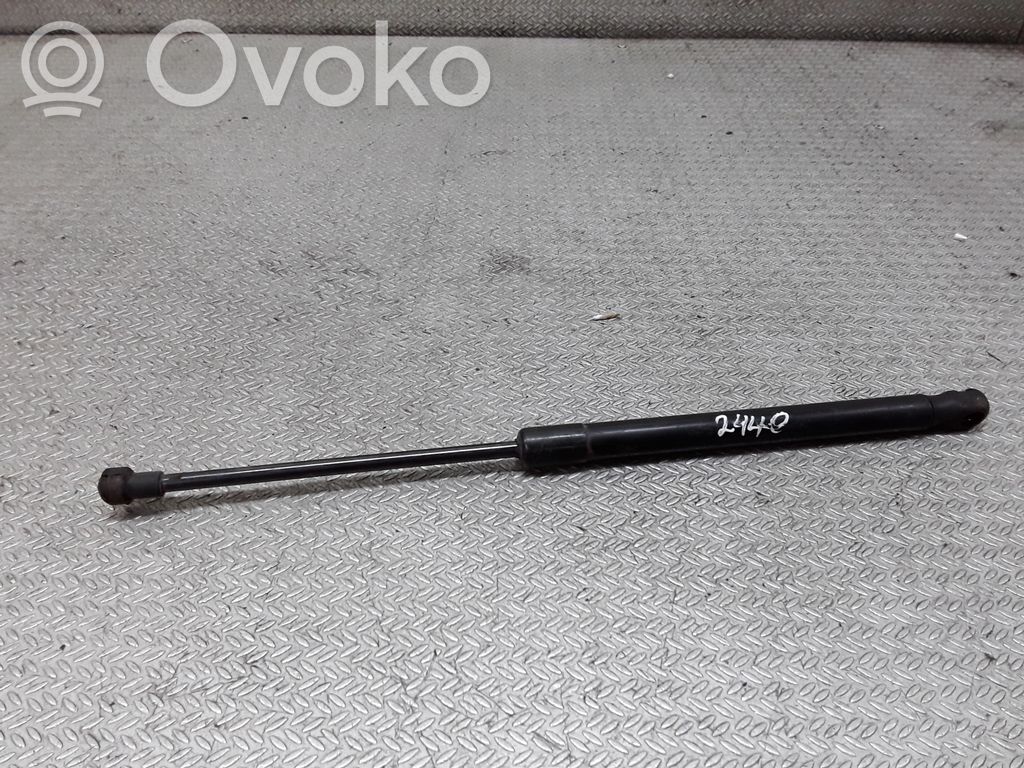 Front bonnet/hood damper/strut