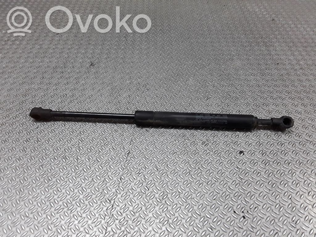 Tailgate/trunk strut/damper   30799158