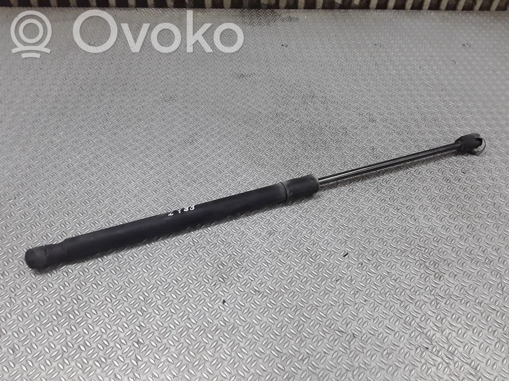 Front bonnet/hood damper/strut