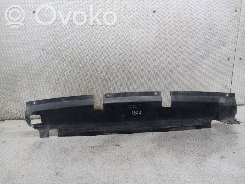Ford Transit Radiator trim 