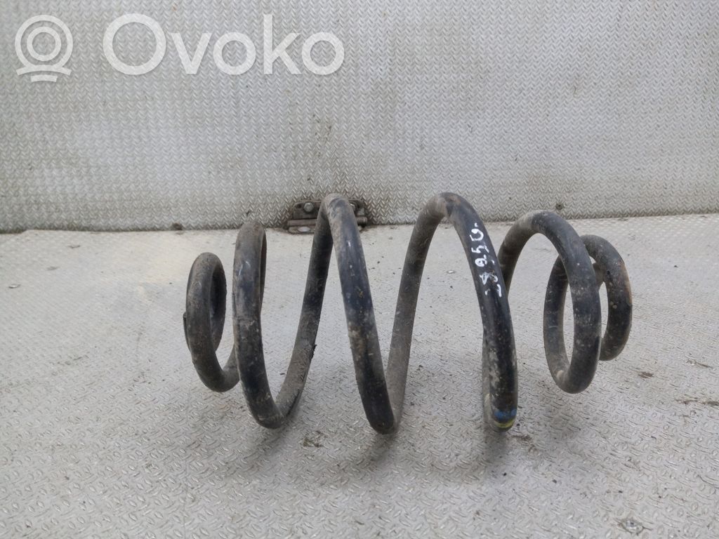 Rear coil spring