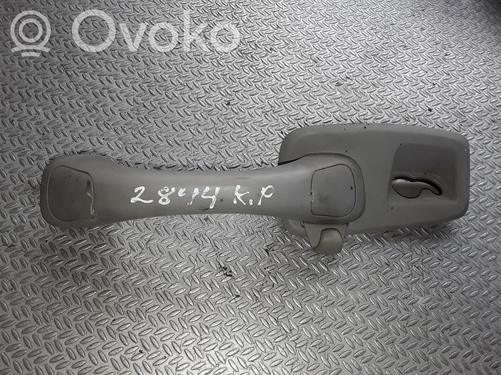 Asidero interior trasero   09193487