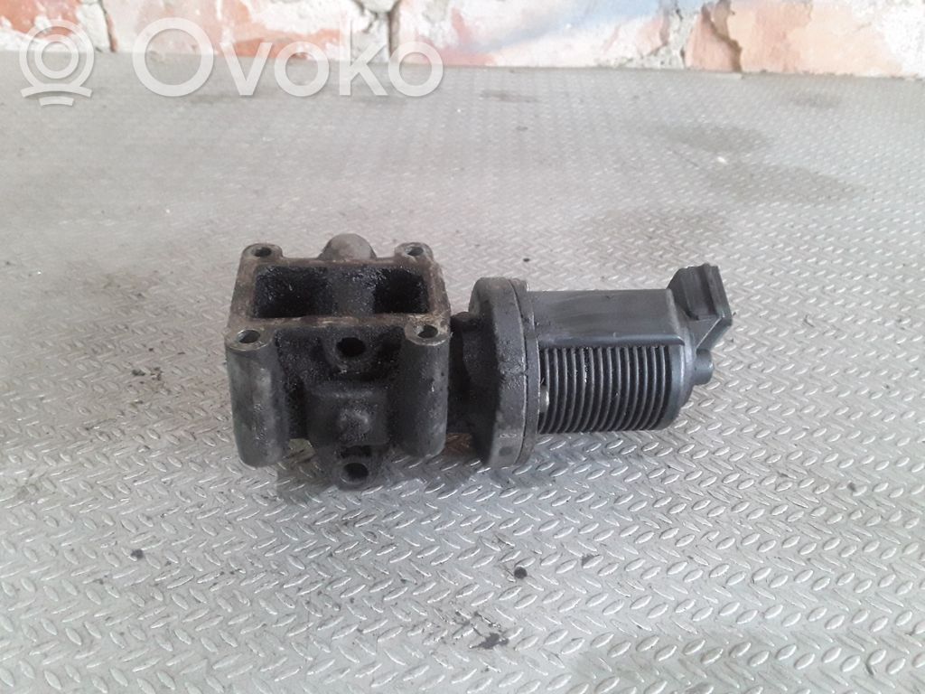 Válvula EGR   55215031