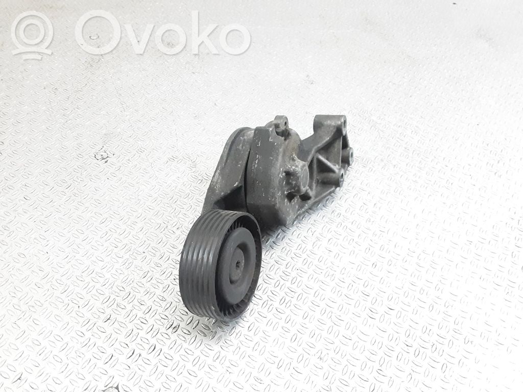 Tendicinghia generatore/alternatore   950372