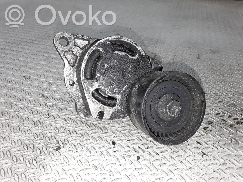 Întinzător curea generator/alternator   0802410121