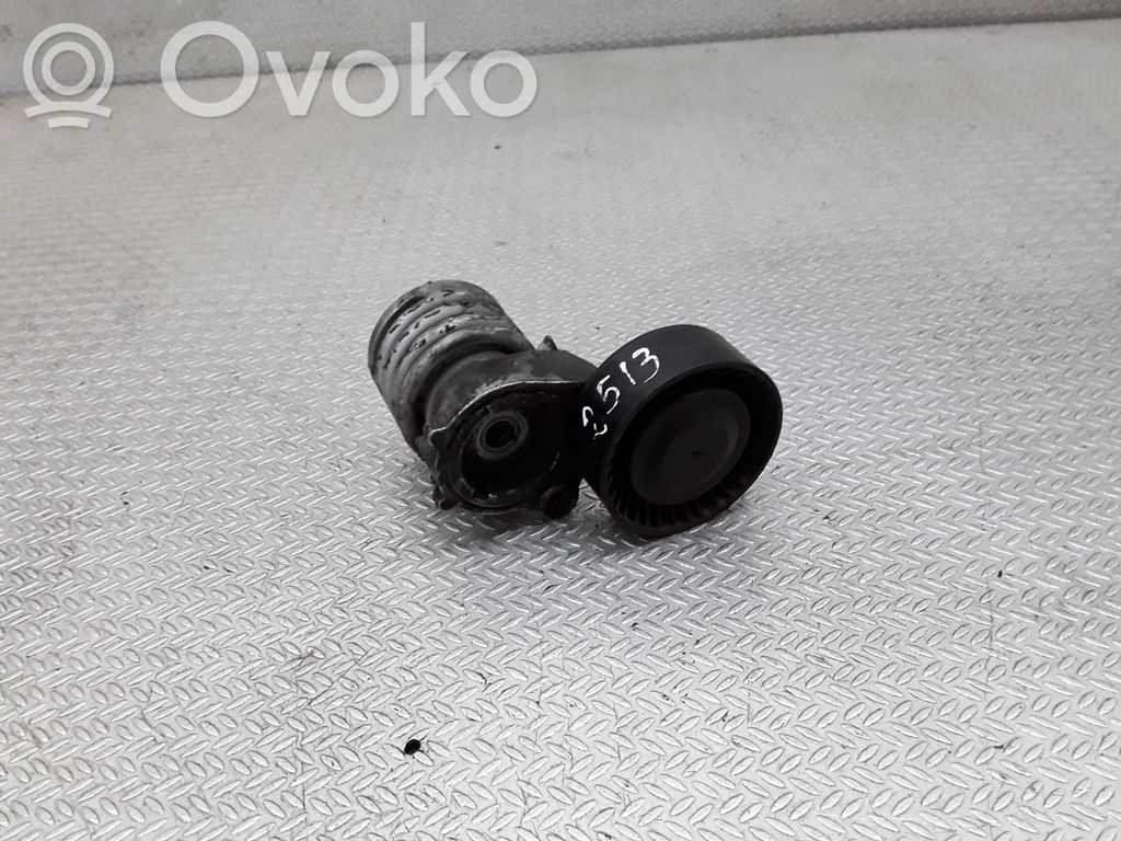 Skoda Fabia Mk2 (5J) Tendicinghia generatore/alternatore 