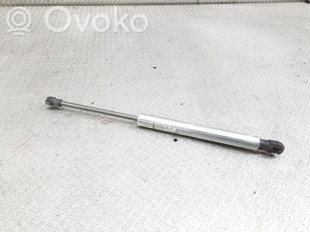 Tailgate/trunk strut/damper   3D5827550B