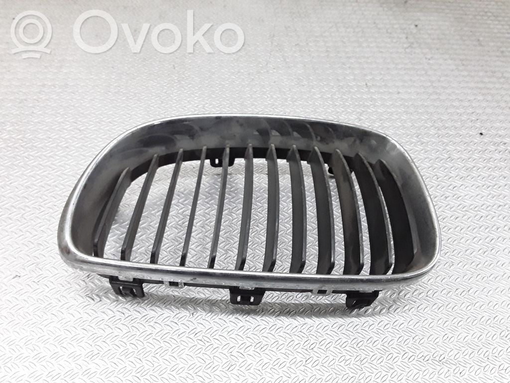 Front grill   51137179655
