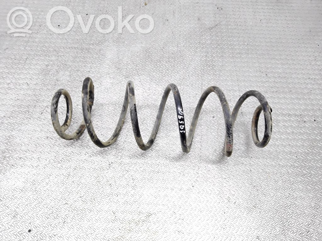 Rear coil spring