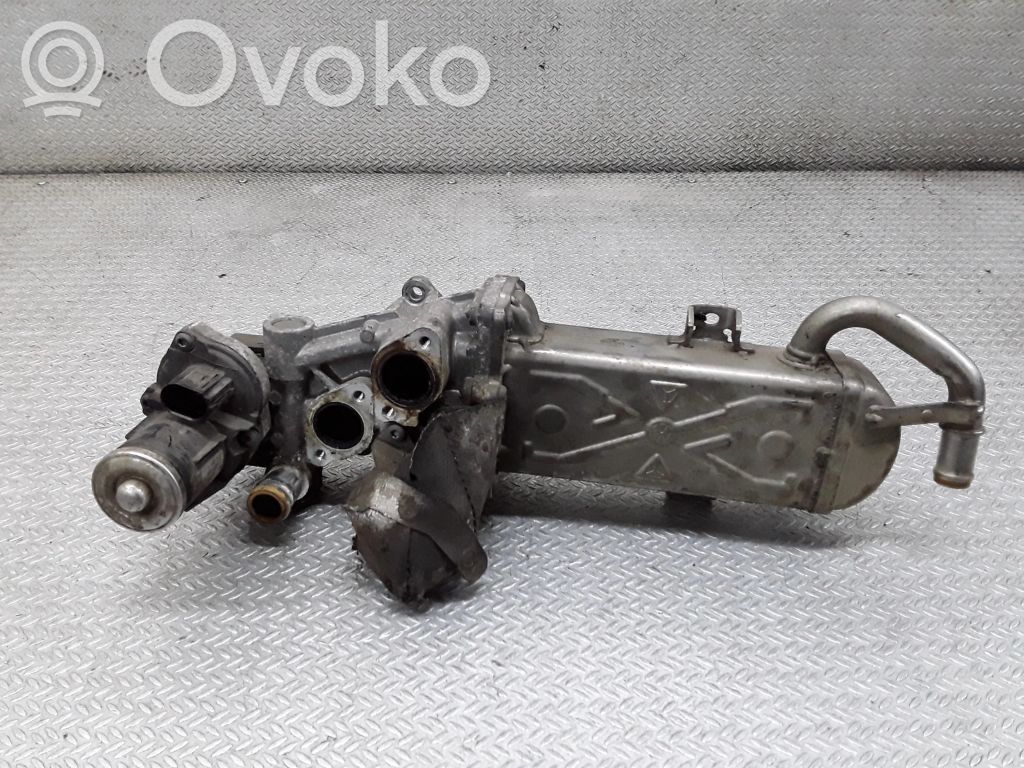 Volkswagen Golf VI Valvola EGR 
