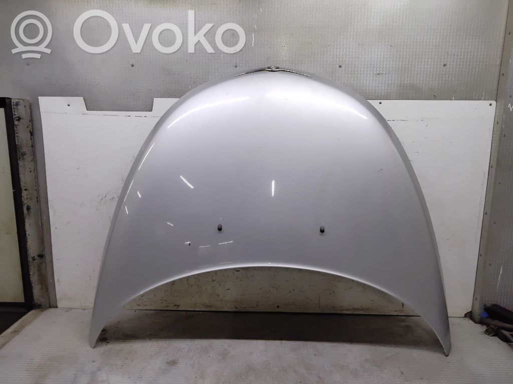 Engine bonnet/hood