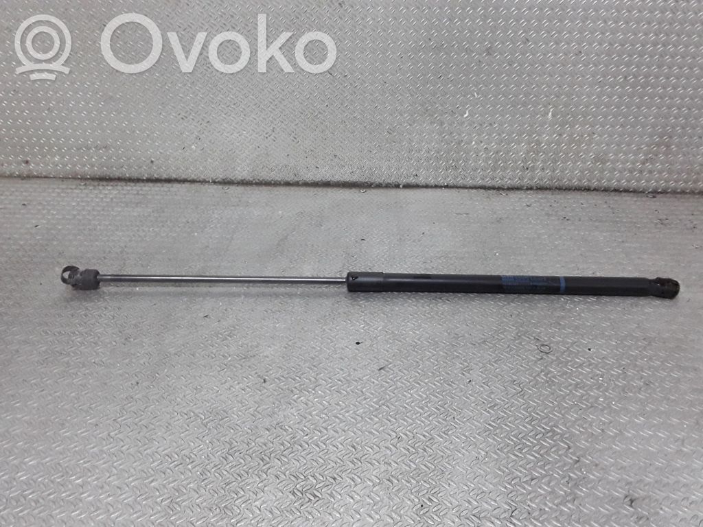 Tailgate/trunk strut/damper   13182537