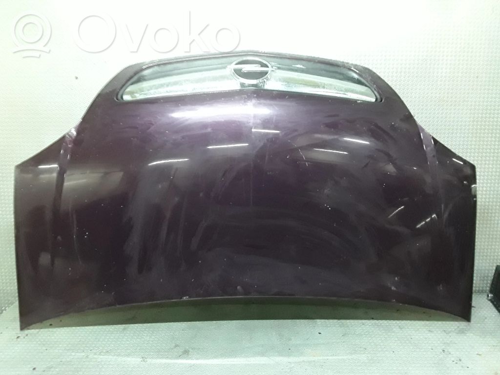 Dzinēja pārsegs (vāks)