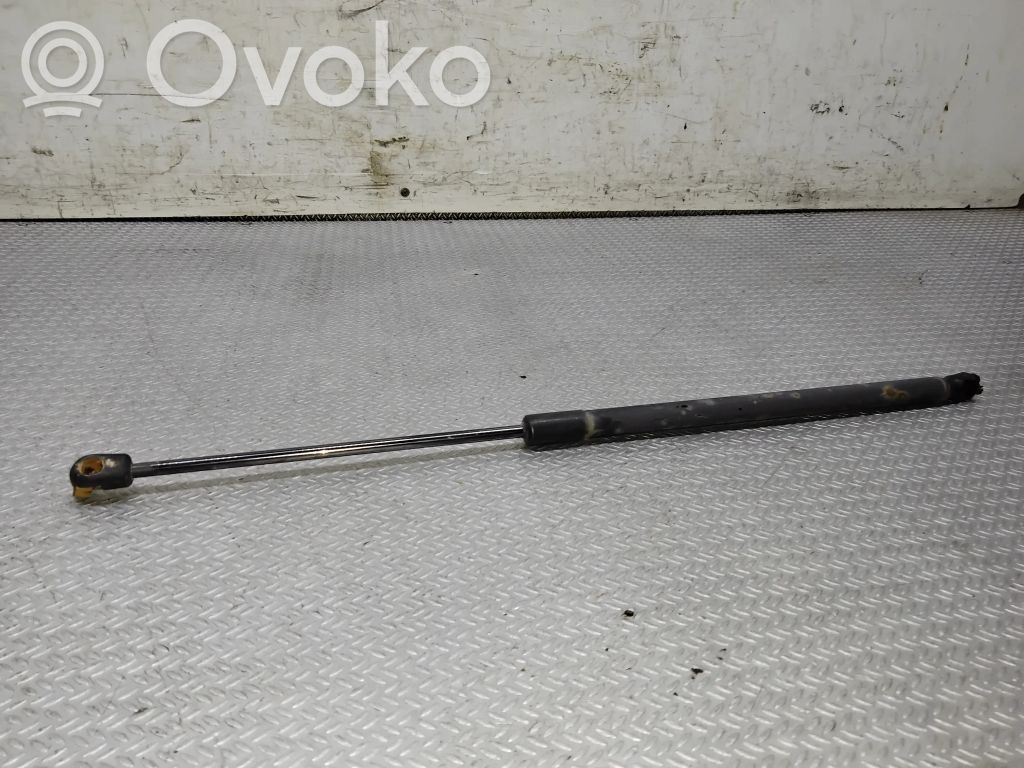 Tailgate/trunk strut/damper   3M71A406A10AD