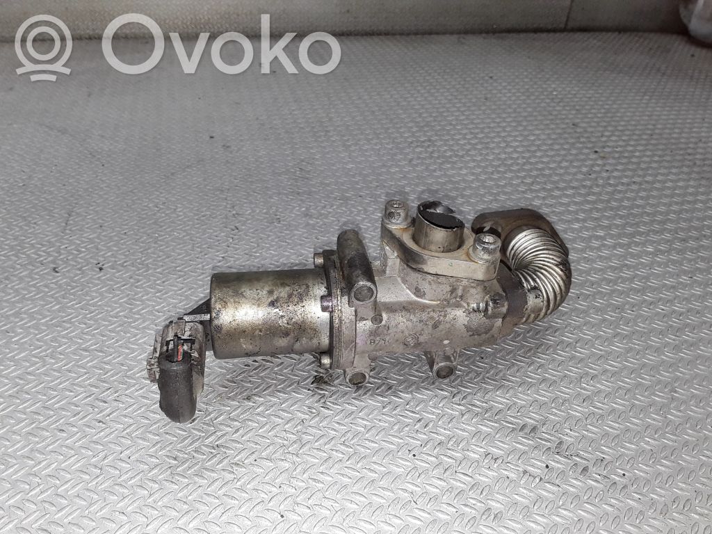 Válvula EGR   55182482