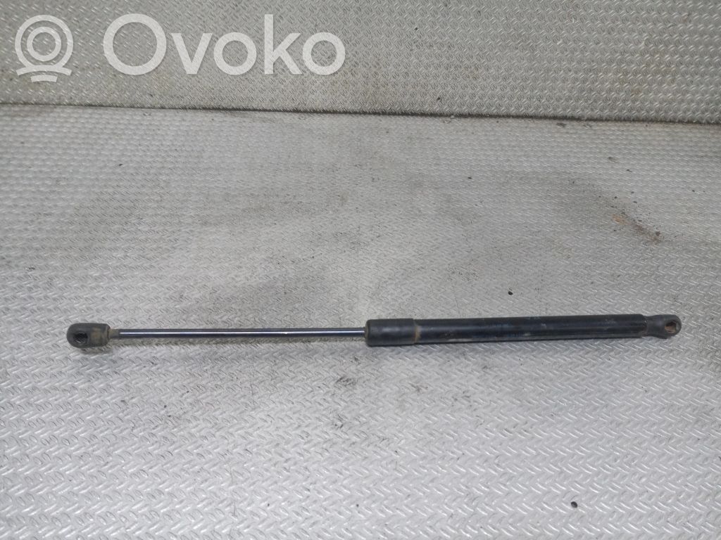 Tailgate/trunk strut/damper   13122695