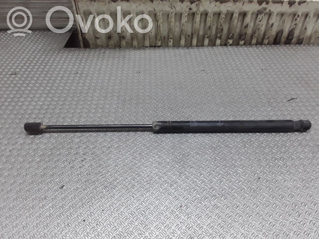 Tailgate/trunk strut/damper   13191401